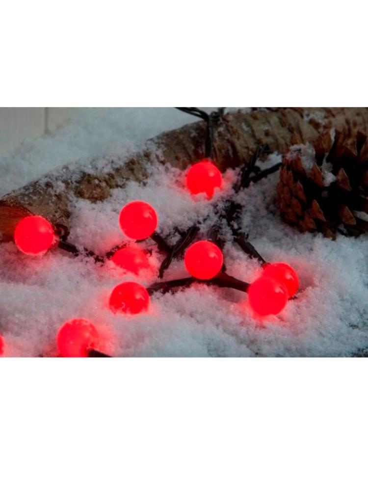 Battery Operated Lights | 200 LED Battery Operated Berry Lights – Red Battery Operated Lights Battery Operated Lights