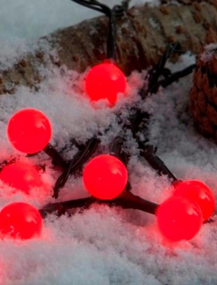 Battery Operated Lights | 50 LED Battery Operated Berry Lights – Red Battery Operated Lights Battery Operated Lights