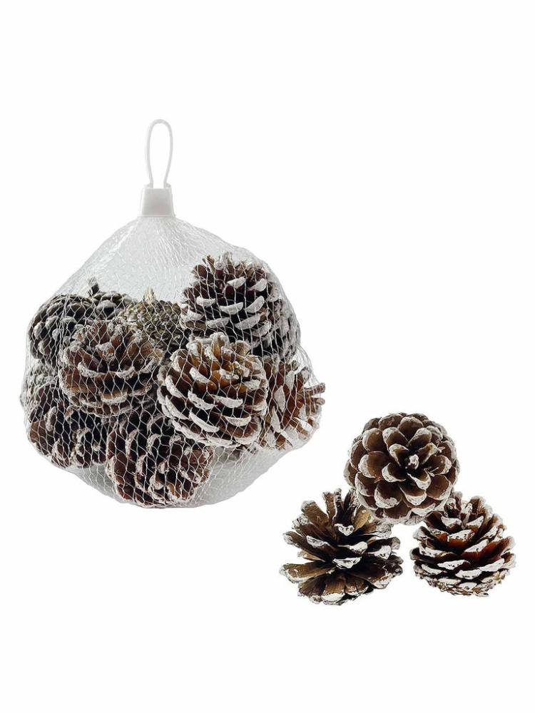 Christmas Floristry | Frosted Pinecones In A Bag – 200g Christmas Floristry Christmas Floristry