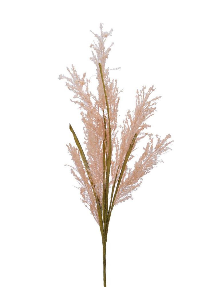 Christmas Picks and Stems | 75cm Pampas Grass On Stem Christmas Floristry Christmas Floristry